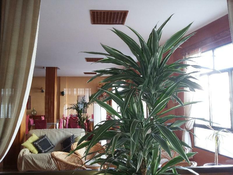 Hotel Tres Jotas Conil Conil De La Frontera Zewnętrze zdjęcie